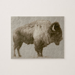 Puzzle Bison américain