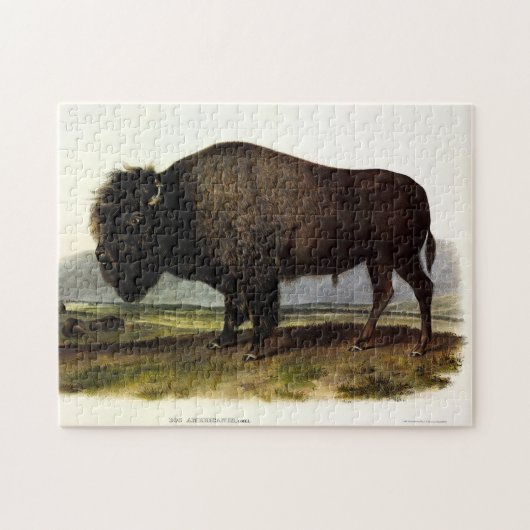 Puzzle Bison américain, ou bison (bison) - Audubon (Horizontal)