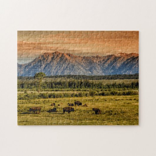 Puzzle Bison au lever de soleil (Horizontal)
