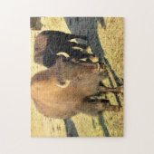 Puzzle Bison dans le Colorado (Vertical)