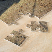 Puzzle Bison dans le Colorado (Côté)