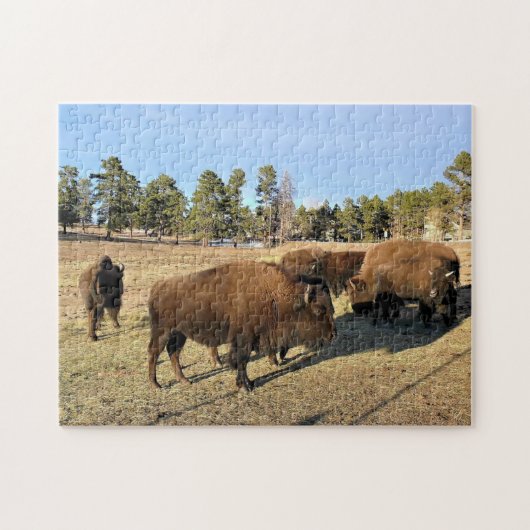 Puzzle Bison dans le Colorado (Horizontal)