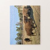 Puzzle Bison dans le Colorado (Vertical)