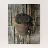 Puzzle Bison de bois (Vertical)