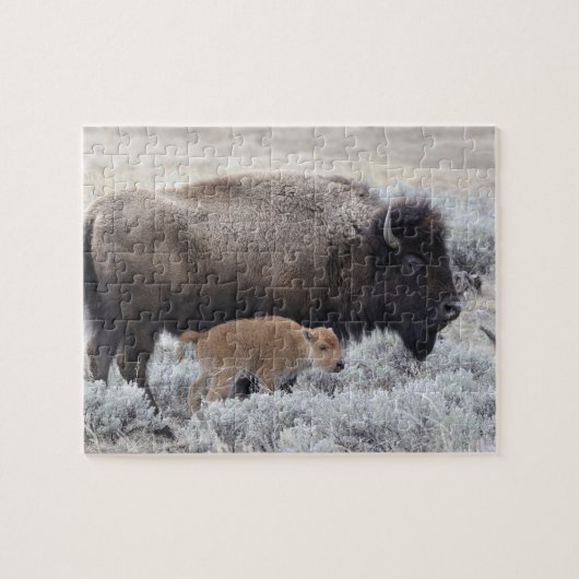 Puzzle Bison de vache et de veau, Yellowstone (Horizontal)