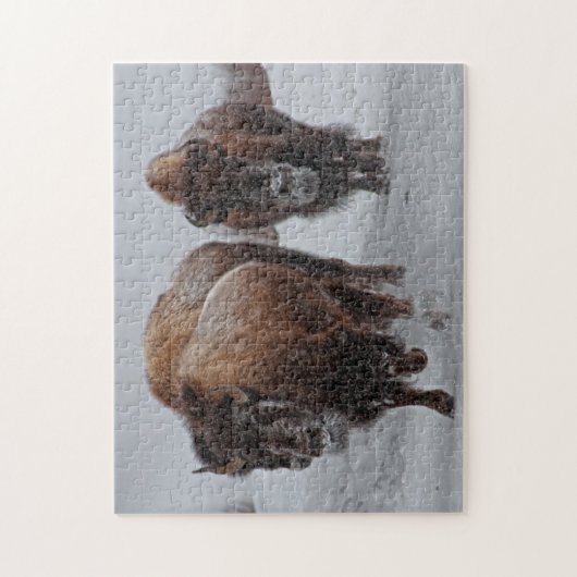 Puzzle Bison de Yellowstone (Vertical)