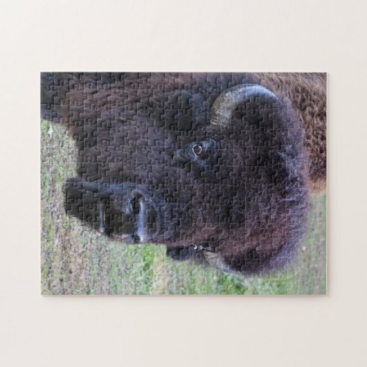 Puzzle Bison dominant de Taureau (Horizontal)