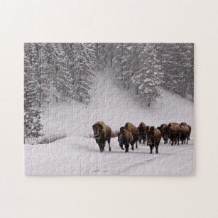 Puzzle Bison en hiver