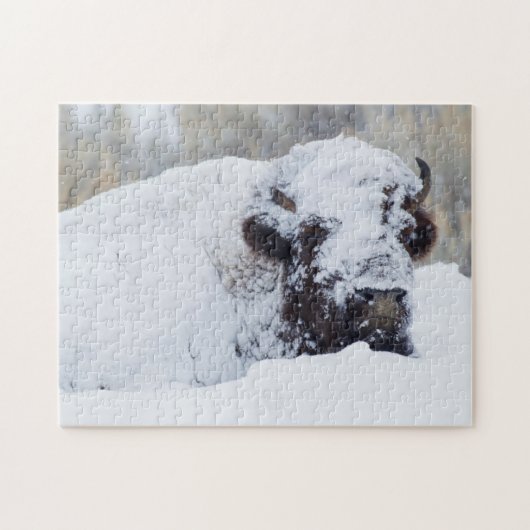 Puzzle Bison mâle, pelage d'hiver (Horizontal)