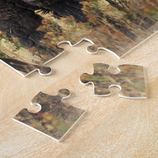 Puzzle Bison photo (Côté)