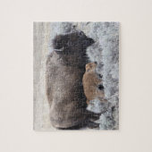 Puzzle Bison vache et veau, Yellowstone (Vertical)