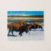 Puzzle Bison Yellowstone Wyoming (Horizontal)