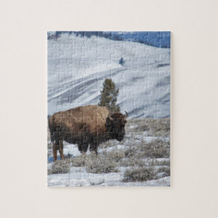 Puzzle Bisons dans les montagnes hivernales de Yellowston