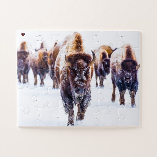 Puzzle Bisons Yellowstone Wyoming (Horizontal)