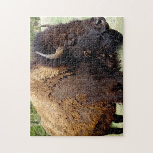 Puzzle Bisson Montana. (Vertical)