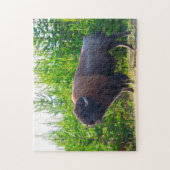 Puzzle Bisson Montana. (Vertical)