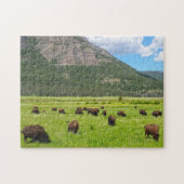 Puzzle Bisson Montana. (Horizontal)