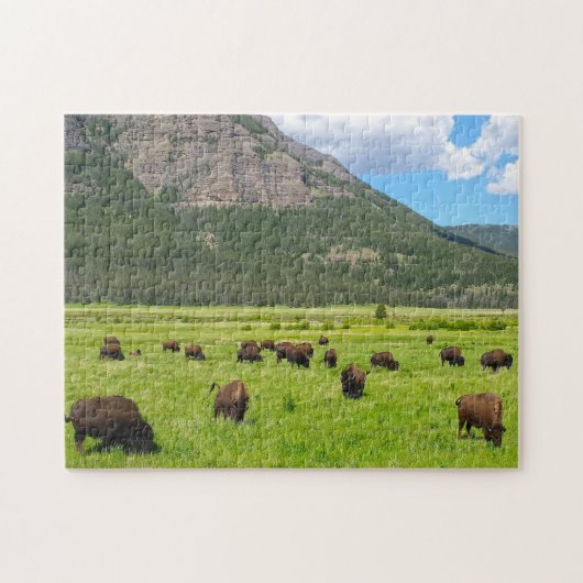 Puzzle Bisson Montana. (Horizontal)