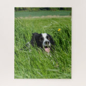Puzzle Black and White Collie in Grass (Vertical)