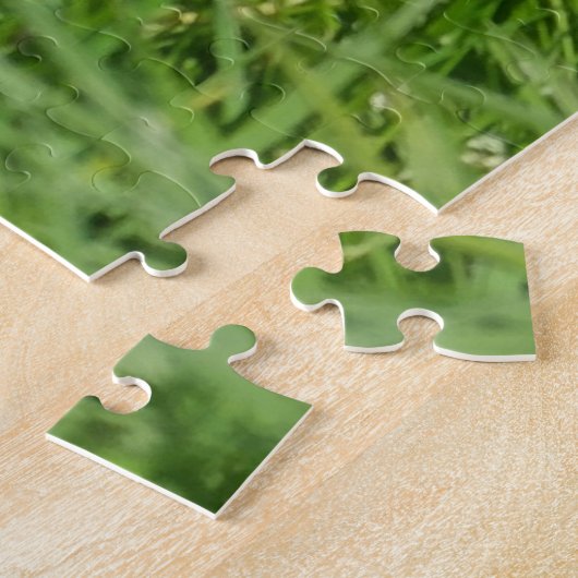 Puzzle Black and White Collie in Grass (Côté)