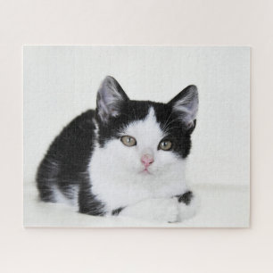 Puzzle Black and White Kitten