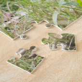 Puzzle Black and White Ruffed Lemur: Wildlife Photography (Côté)