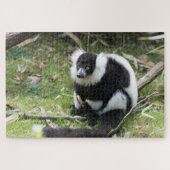 Puzzle Black and White Ruffed Lemur: Wildlife Photography (Horizontal)
