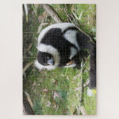 Puzzle Black and White Ruffed Lemur: Wildlife Photography (Vertical)