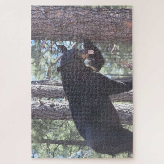 Puzzle Black Bear Jigsaw Puzzle, 20" x 30", 1014 pieces (Vertical)