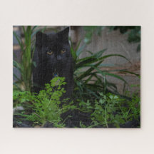 Black Cat Hidden in the Plants, 520 pieces
