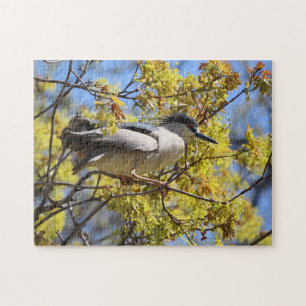 Puzzle Black Crowne Night Heron