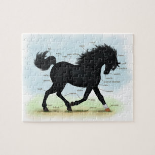 Puzzle Black Horse with Star & Sock Anatomy Chart