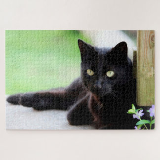 Puzzle Black Kitty Chat Cute Amusante Animal Jigsaw Puzzl