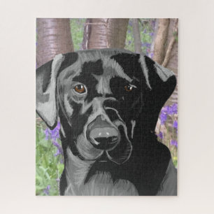 Puzzle Black Labrador dans un bois de Bluebell