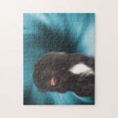 Puzzle Black Pekingese Blue Swils Dog Art (Vertical)