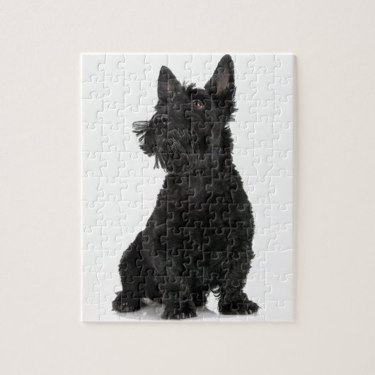 Puzzle Black Scottish Terrier (Vertical)