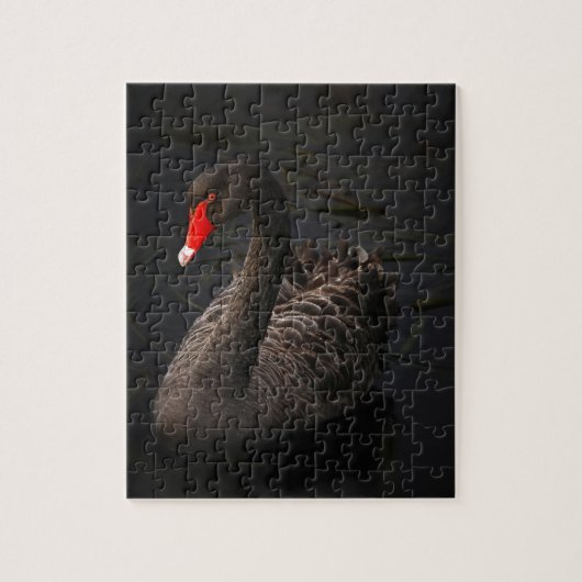 Puzzle Black Swan (Vertical)