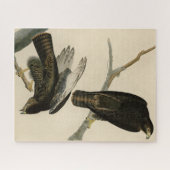 Puzzle Black Warrior (Buse à queue rouge) d'Audubon Birds (Horizontal)