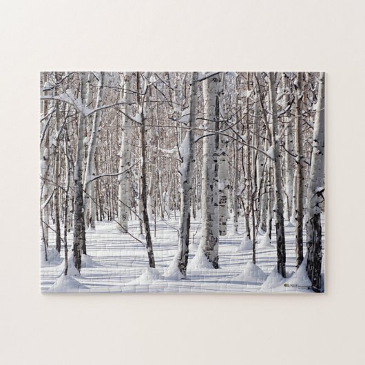 Puzzle Black & White Aspen Tree Trunks & Snow Photo (Horizontal)