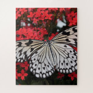 Puzzle Black & White Butterfly on Red Flowers