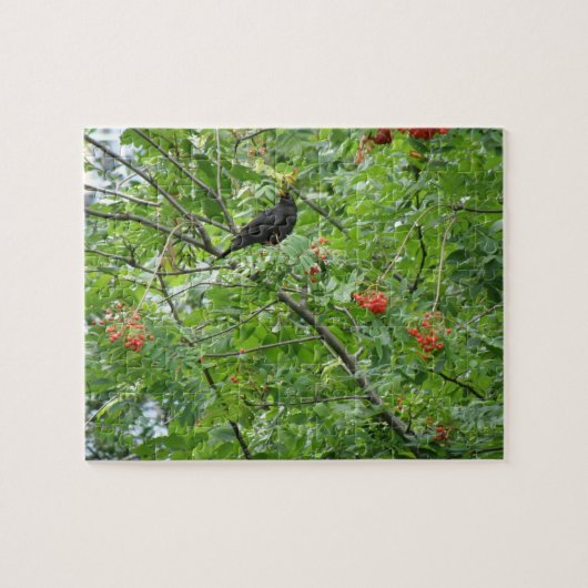 Puzzle Blackbird et Berries (Horizontal)
