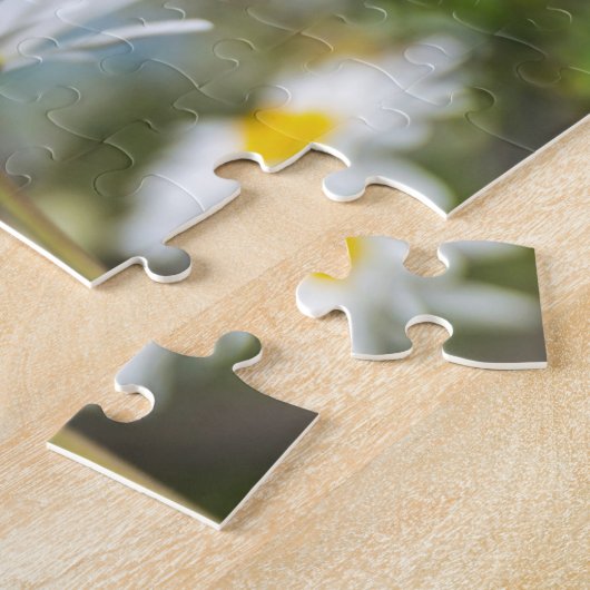 Puzzle blanc (Côté)