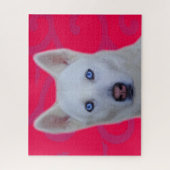 Puzzle blanc de Husky Sibérie (Pink BG) (Vertical)
