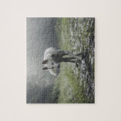 Puzzle blanc de Husky Sibérien (Vertical)