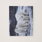 Puzzle blanc des ours polaires (Vertical)