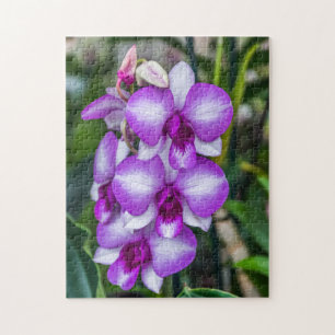 Puzzle blanc et pourpre d'orchidées