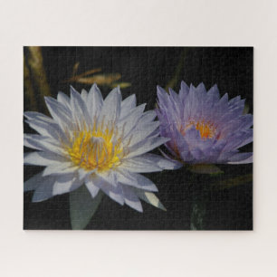 Puzzle blanc violet Nénuphar