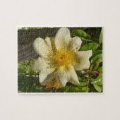 Puzzle Blanca flor (Horizontal)