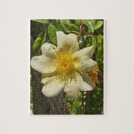 Puzzle Blanca flor (Vertical)