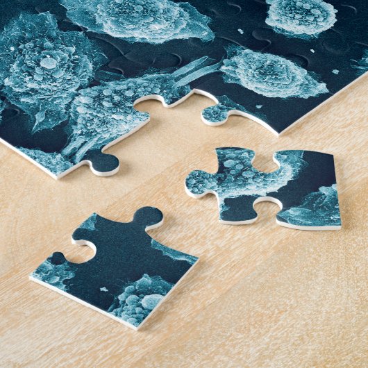 Puzzle Blebby de cellules de mitotique (Côté)